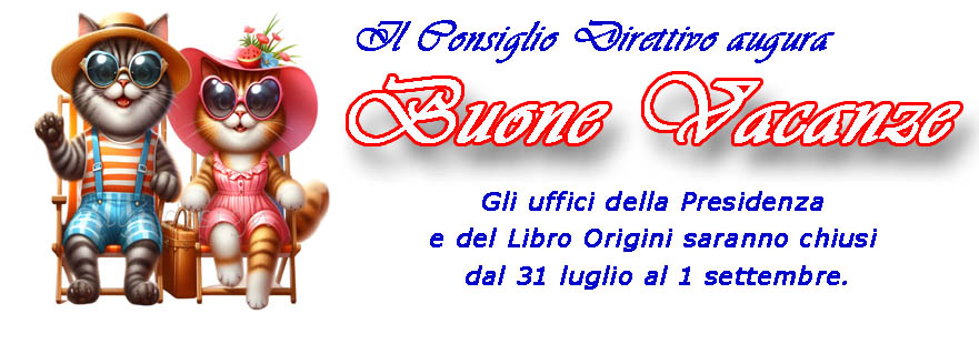Vacanze